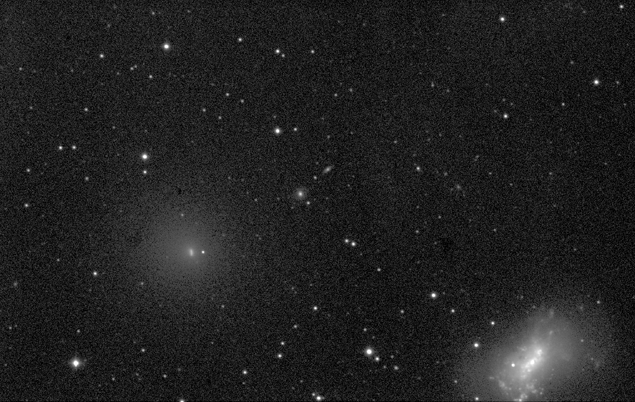 Image comet 55P/Tempel-Tuttle