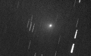 Image comet 55P/Tempel-Tuttle