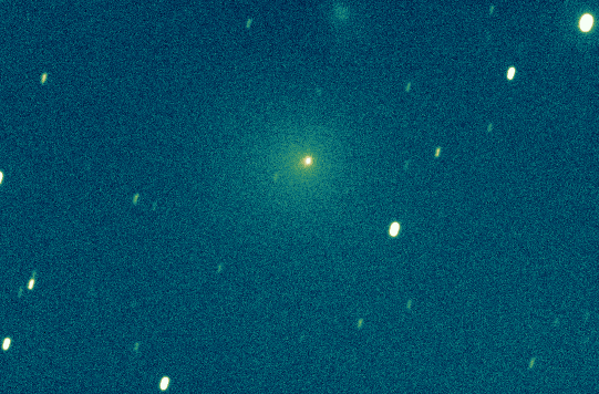 Image comet 55P/Tempel-Tuttle