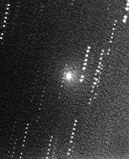 Image comet 55P/Tempel-Tuttle