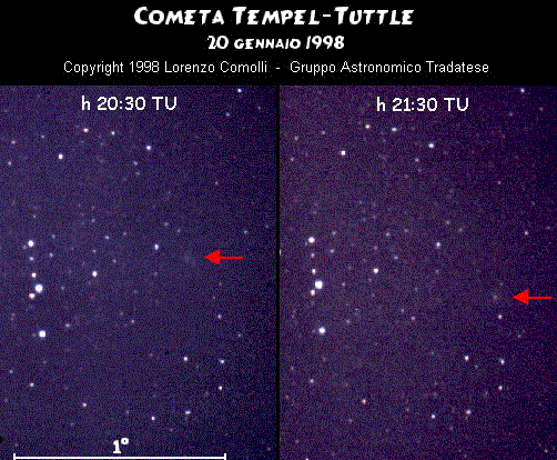 Image comet 55P/Tempel-Tuttle