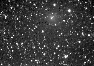 Image comet 55P/Tempel-Tuttle