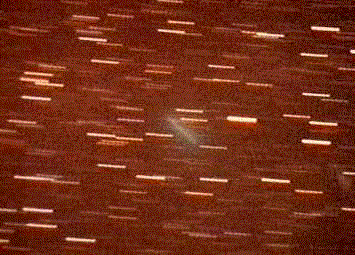 Image comet 55P/Tempel-Tuttle