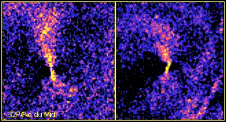 Image comet 55P/Tempel-Tuttle