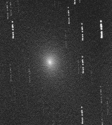 Image comet 55P/Tempel-Tuttle