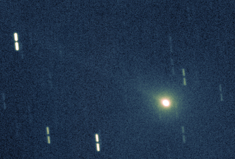 Image comet 55P/Tempel-Tuttle