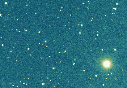 Image comet 55P/Tempel-Tuttle