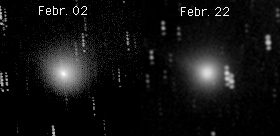 Image comet 55P/Tempel-Tuttle