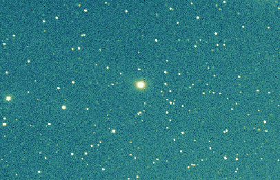 Image comet 55P/Tempel-Tuttle