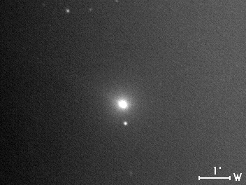 Image comet 55P/Tempel-Tuttle