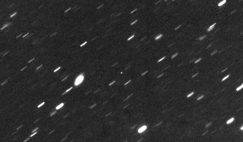 Image comet 55P/Tempel-Tuttle