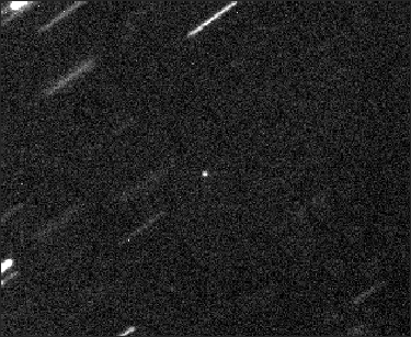 Image comet 55P/Tempel-Tuttle