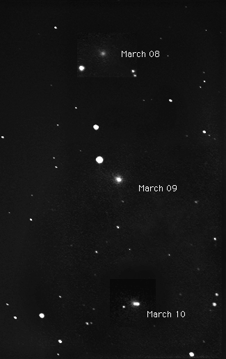 Image comet 55P/Tempel-Tuttle