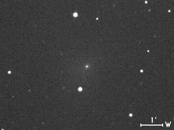 Image comet 55P/Tempel-Tuttle